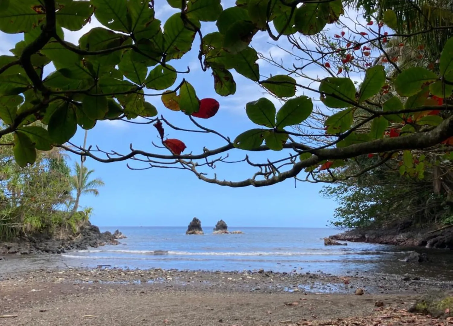 Hilo Bay Oceanfront Bed And Breakfast ארצות הברית