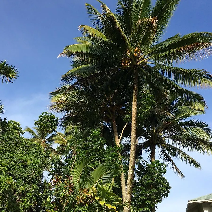 Hilo Bay Oceanfront Bed And Breakfast