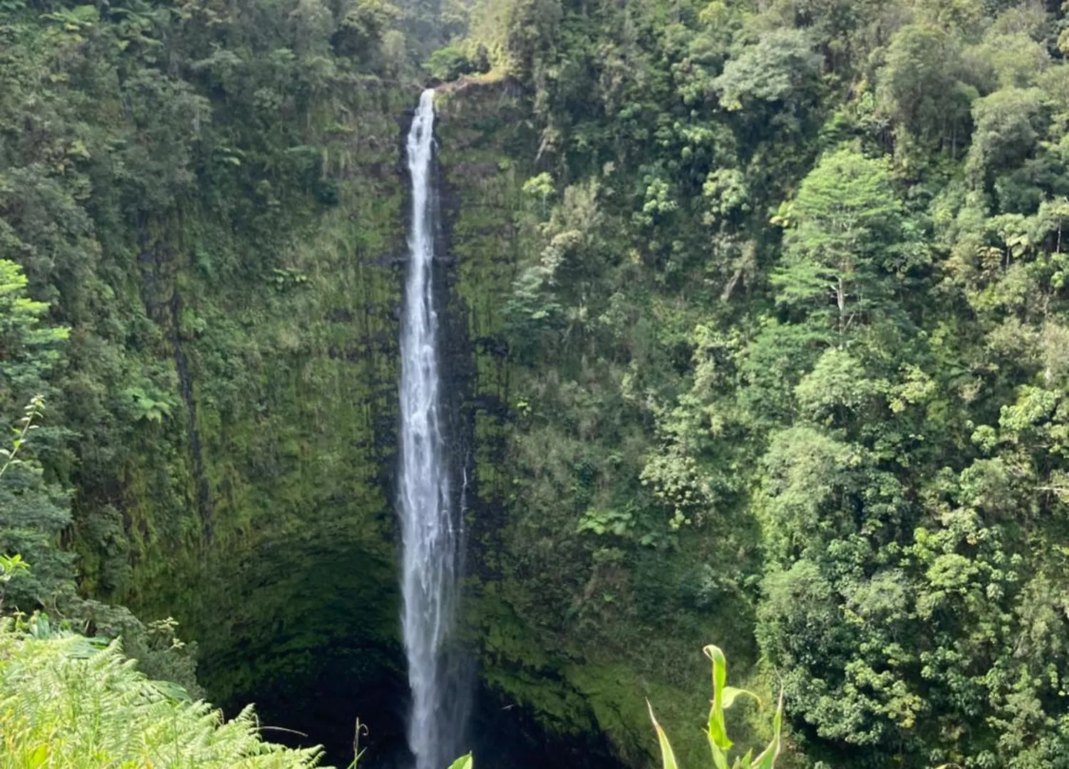 Hilo Bay Oceanfront Bed And Breakfast