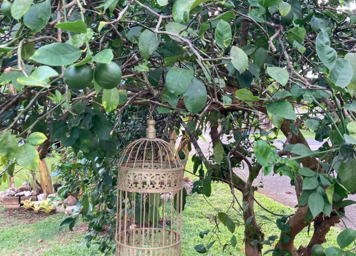 Hilo Bay Oceanfront Bed And Breakfast