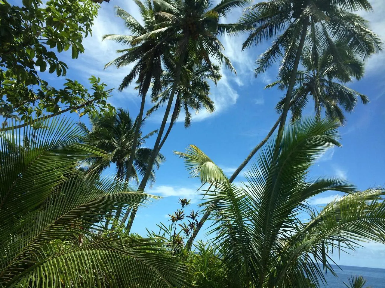 ***  Hilo Bay Oceanfront Bed And Breakfast Ηνωμένες Πολιτείες της Αμερικής